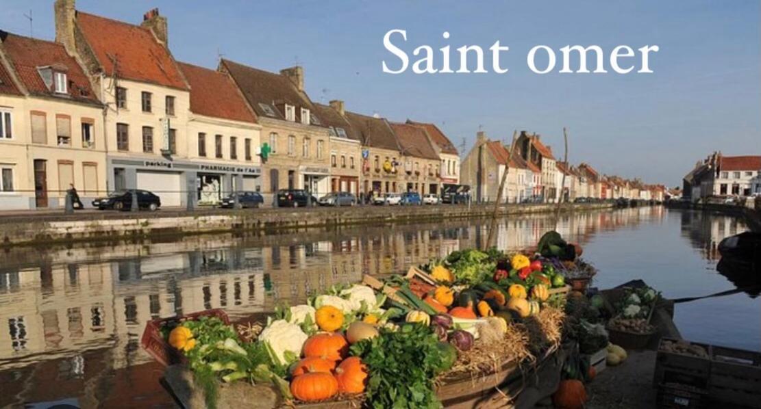 Le Clos Des Glycines Saint-Martin-Lez-Tatinghem Kültér fotó